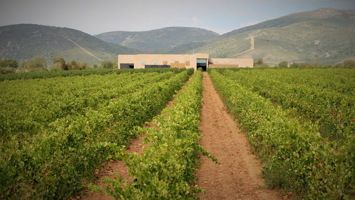 Weingut Pago de Vallegarcia