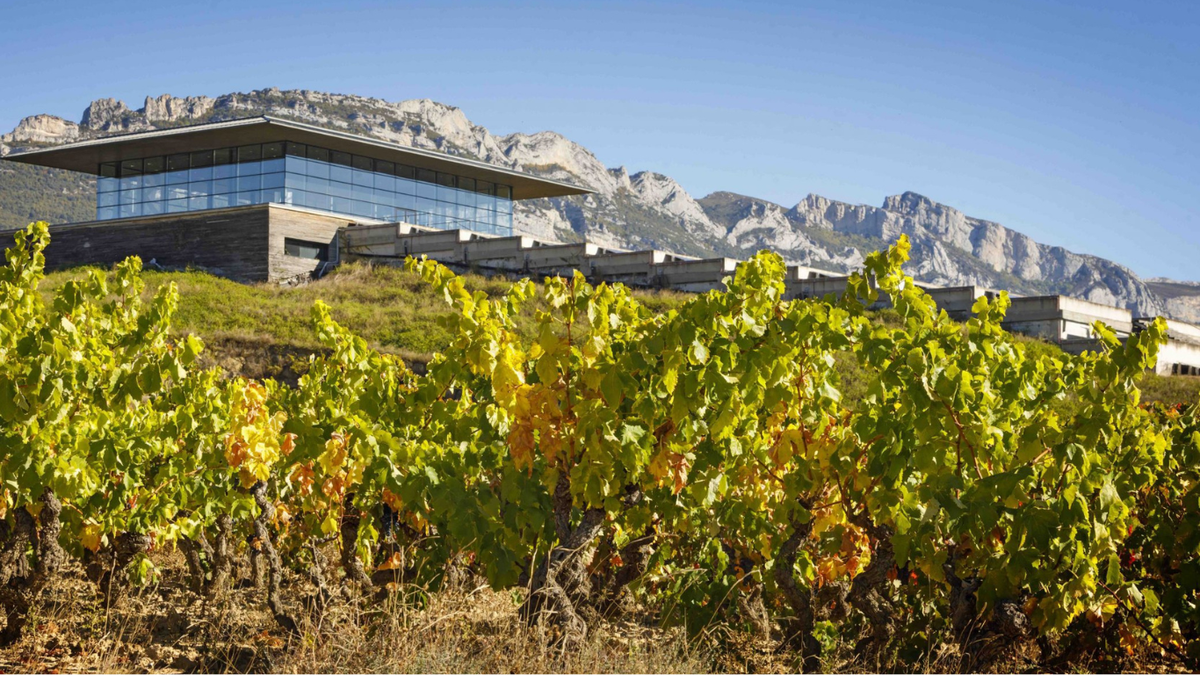 Baigorri Wineries