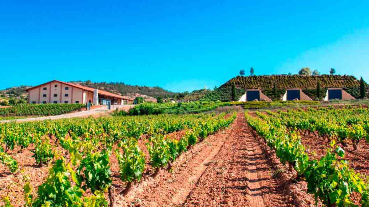 Valduero Wineries