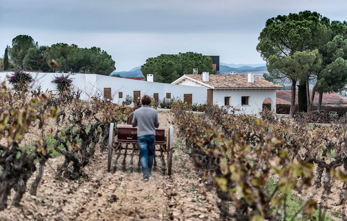 Raventos i Blanc Weingut