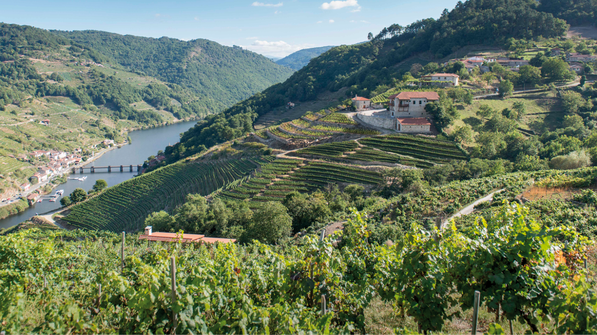 Via Romana Adegas und Weinberge