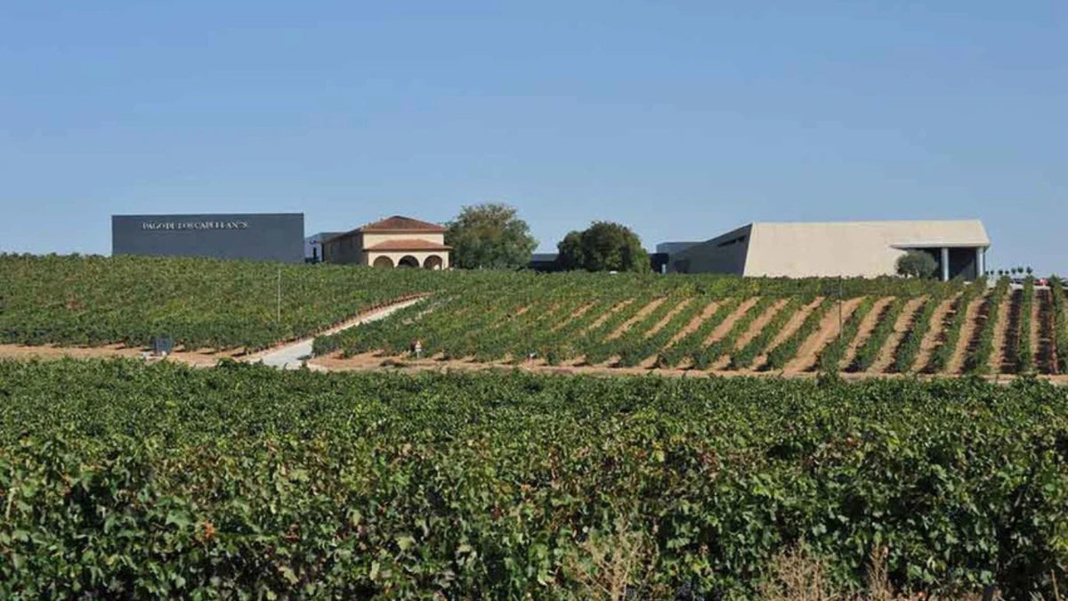 Payment of the Capellans Winery