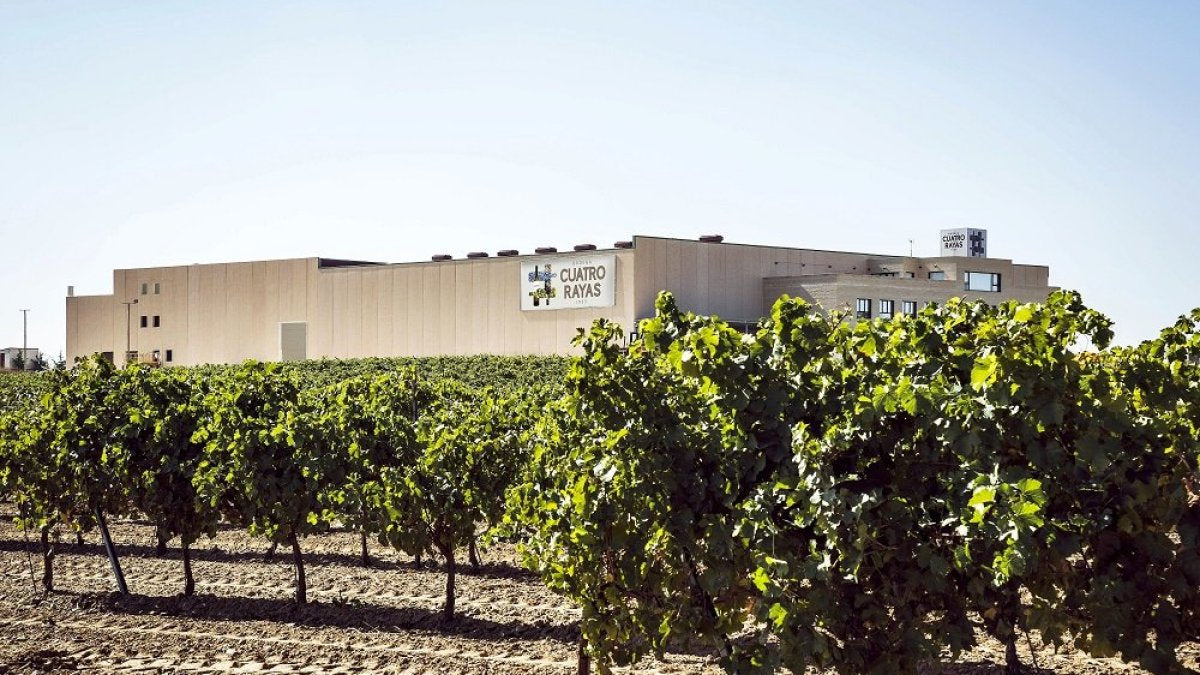 Cuatro Rayas Weingut