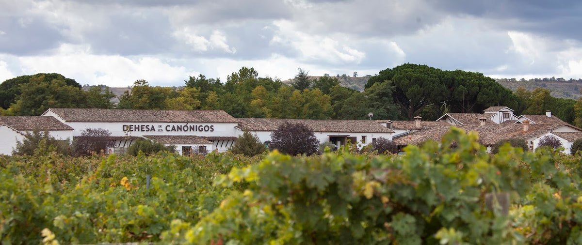 Weingut Dehesa de los Canónigos