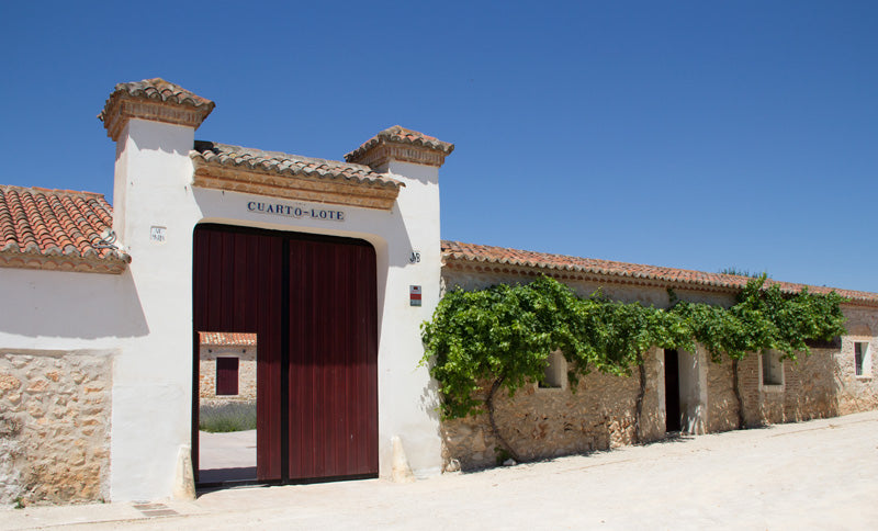 Viertes Grundstück Weingut