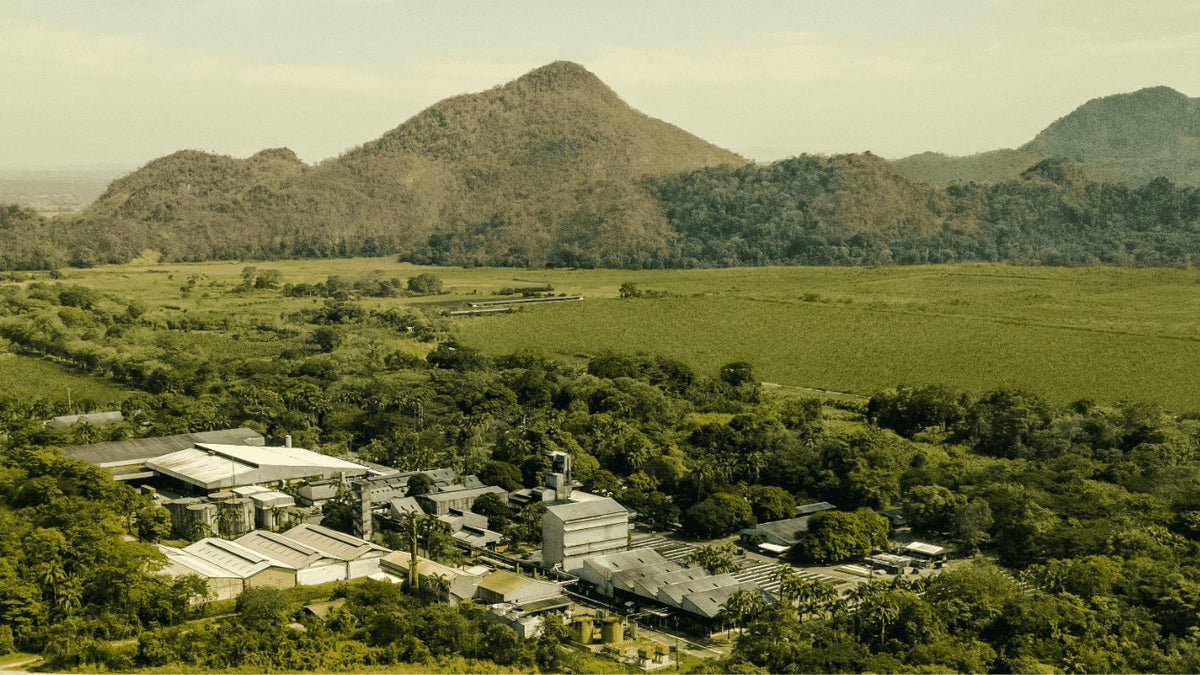 Diplomático Distillery