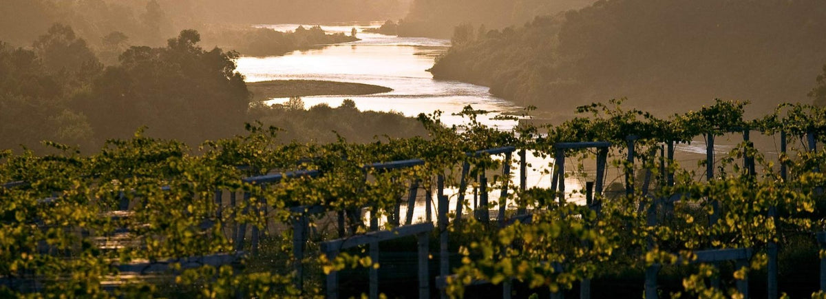 Vina Nora Weingut