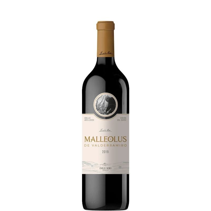 MALLEOLUS DE VALDERRAMIRO 2020