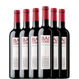 BAIGORRI Crianza 2022 x6 Flaschen