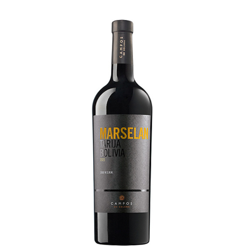 MARSELAN 2021