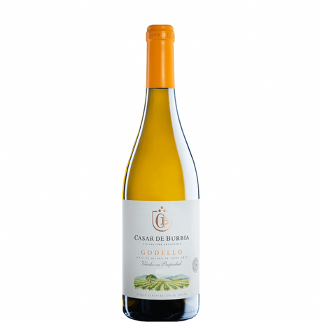 Flasche Casar de Burbia Godello 2023