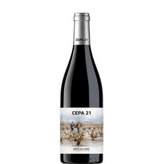 CEPA 21 2023