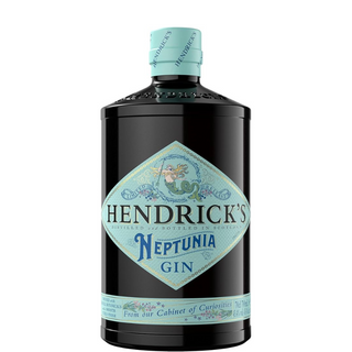 HENDRICKS NEPTUNIE
