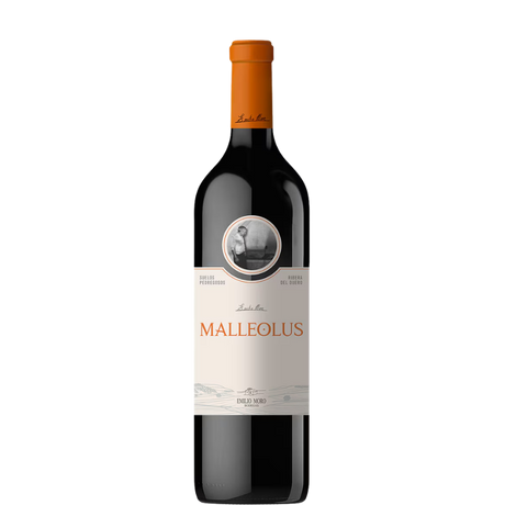 Flasche Malleolus 2023 von Bodega Emilio Moro