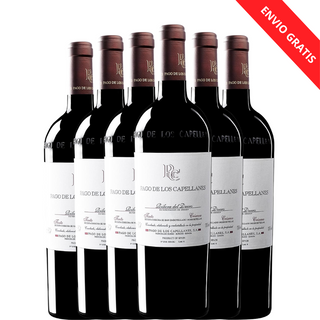 PAYMENT OF THE CHAPLAINS Crianza 2023 x6 bottles