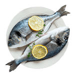 Fisch