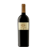 Flasche San Vicente Reserva 2021