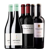 Ribera del Duero Auswahl