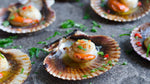 Scallops